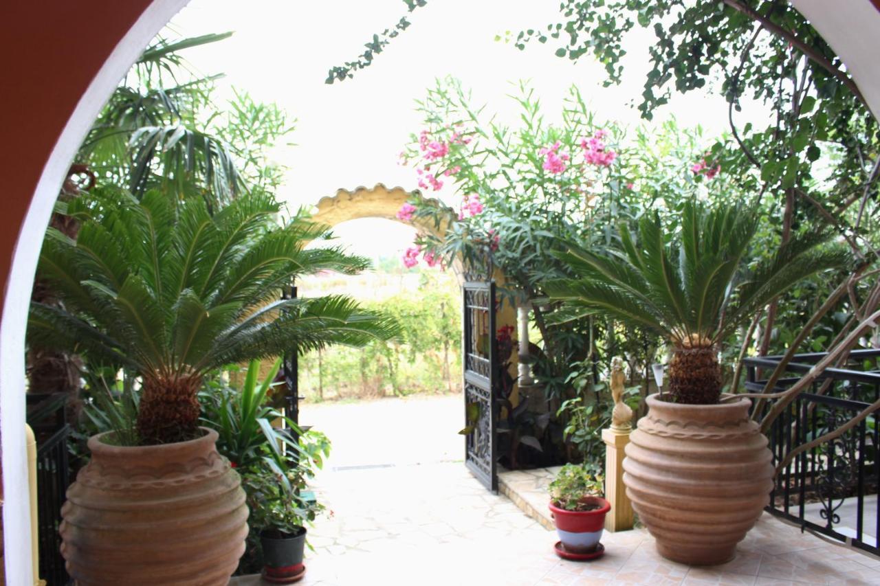 Villa Nefeli Agios Georgios  Bagian luar foto